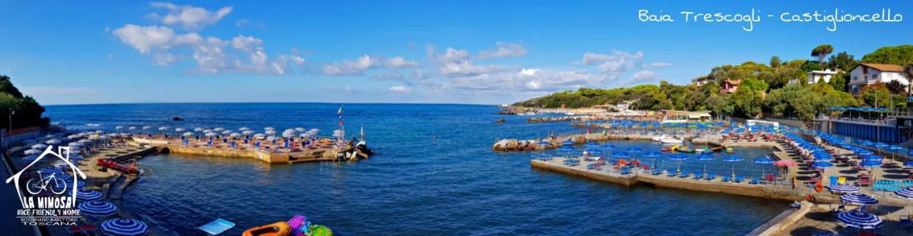 La Mimosa - Bike Friendly Holiday home *