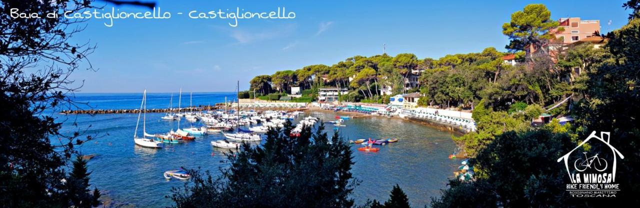 Holiday home La Mimosa - Bike Friendly Rosignano Solvay