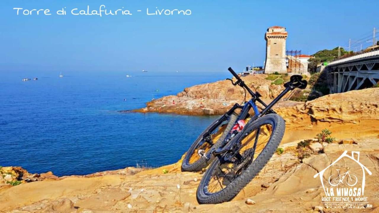 Holiday home La Mimosa - Bike Friendly